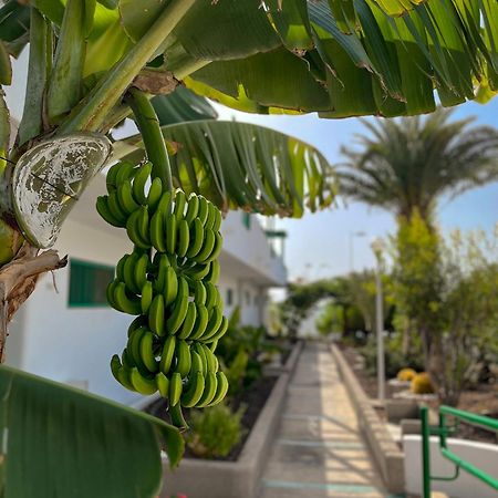 Beautiful Apartment Aguycan Beach 120 Playa Del Aguila Μασπαλόμας Εξωτερικό φωτογραφία