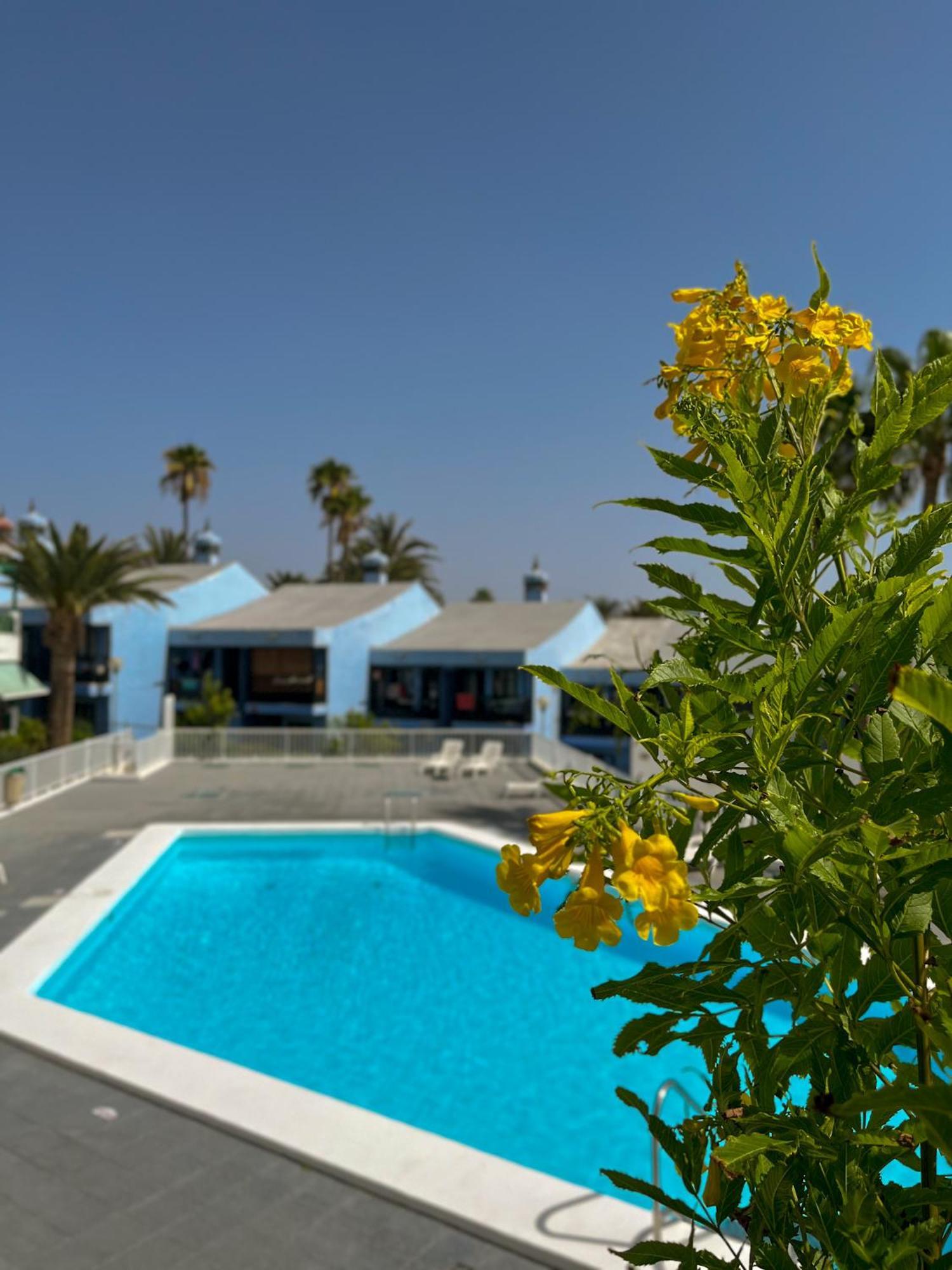 Beautiful Apartment Aguycan Beach 120 Playa Del Aguila Μασπαλόμας Εξωτερικό φωτογραφία